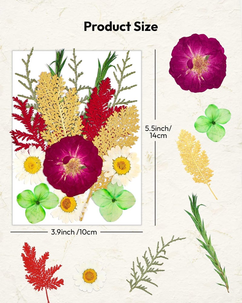 Resiners Dried Flowers, 6 Pack Pressed Flowers for Christmas Craft 100% Real Natural Dried Flowers Kits for Christmas DIY Making Crafts Resin Soap Candle Making Jewelry Scrapbook Supplies Card - Image 5